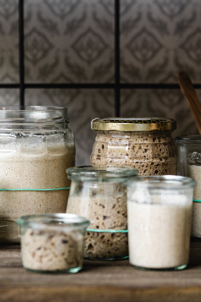 Sauerteigkultur Erstellen Hochfuttern Besondersgut